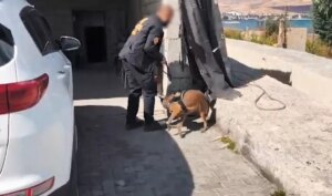 bitliste uyusturucu operasyonu 5 kisi tutuklandi MkYAPP6W.jpg