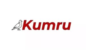 kumru yapay zeka yerli mi turk mali mi UVIaqGVx.jpg